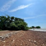 Ejen Tanah Port Dickson Negeri Sembilan_Banglo Lot Pantai Tanjung Gemuk Port Dickson