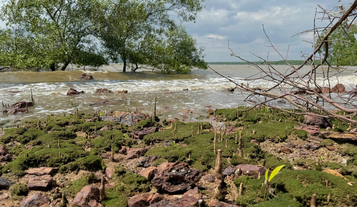 Ejen Tanah Port Dickson Negeri Sembilan_Banglo Lot Pantai Tanjung Gemuk Port Dickson Untuk Dijual_Hairil Wahiri 7